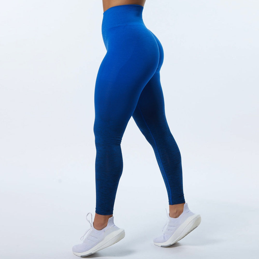 New Ombre Amplify Legging Scrunch Seamless Leggings Workout Gym Tights Super Stretchy Yoga Pants  Push Up Booty Leggings