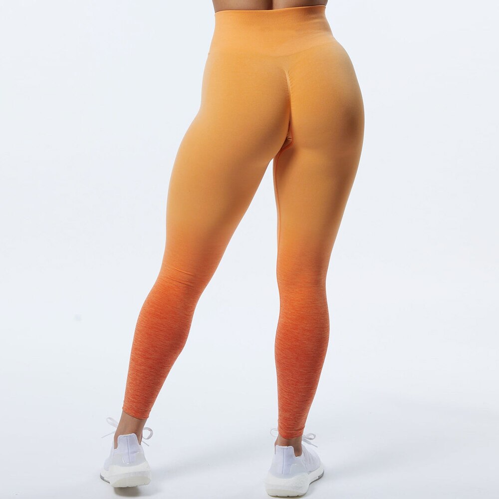 New Ombre Amplify Legging Scrunch Seamless Leggings Workout Gym Tights Super Stretchy Yoga Pants  Push Up Booty Leggings